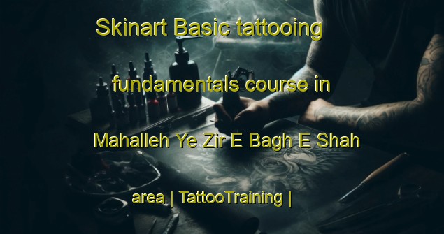 Skinart Basic tattooing fundamentals course in Mahalleh Ye Zir E Bagh E Shah area | TattooTraining | TattooClasses | SkinartTraining-Islamic Republic of Iran